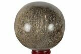 Polished Agatized Dinosaur (Gembone) Sphere - Morocco #189823-1